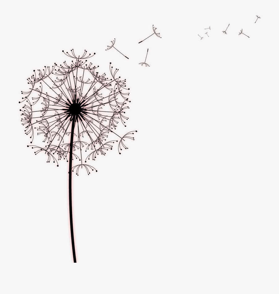 Paper Common Dandelion Photography - Dandelion With Transparent Background, Transparent Clipart