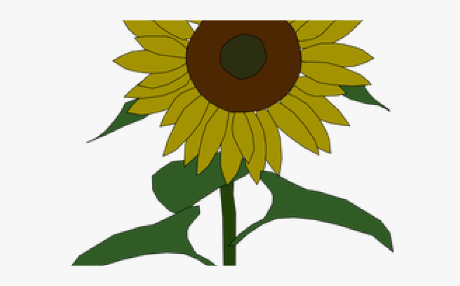 Sunflower Clipart September - Clip Art Of Sunflower, Transparent Clipart