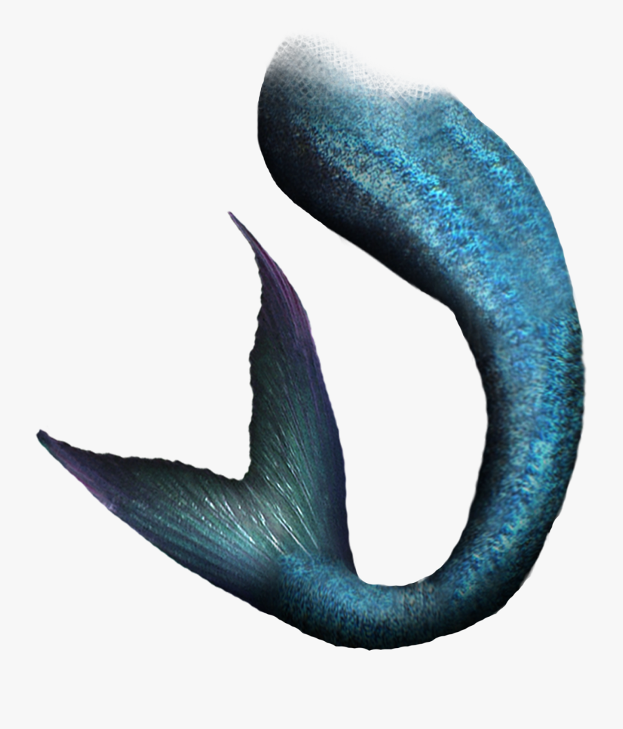 Mermaid Tail Transparent Background, Transparent Clipart