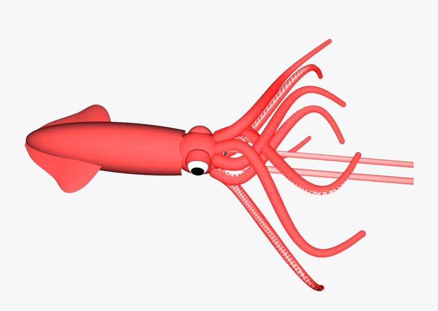 47178 - Many Legs Does A Squid Have, Transparent Clipart