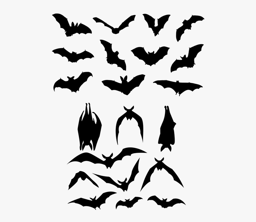 Bats Silhouette Clip Art, Transparent Clipart