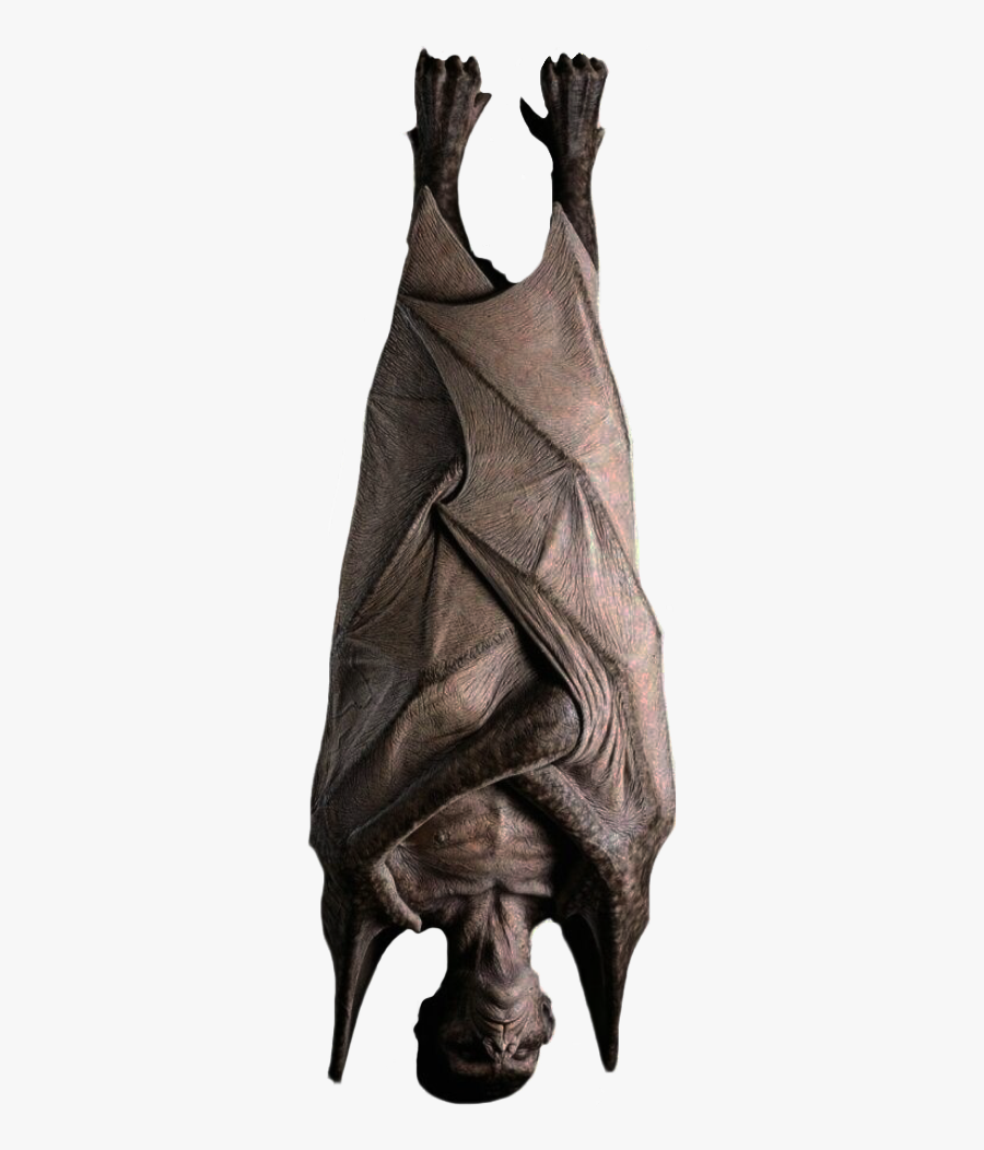 #bat #vampire #dracula #halloween #freetoedit - Hanging Upside Down Vampire Prop, Transparent Clipart