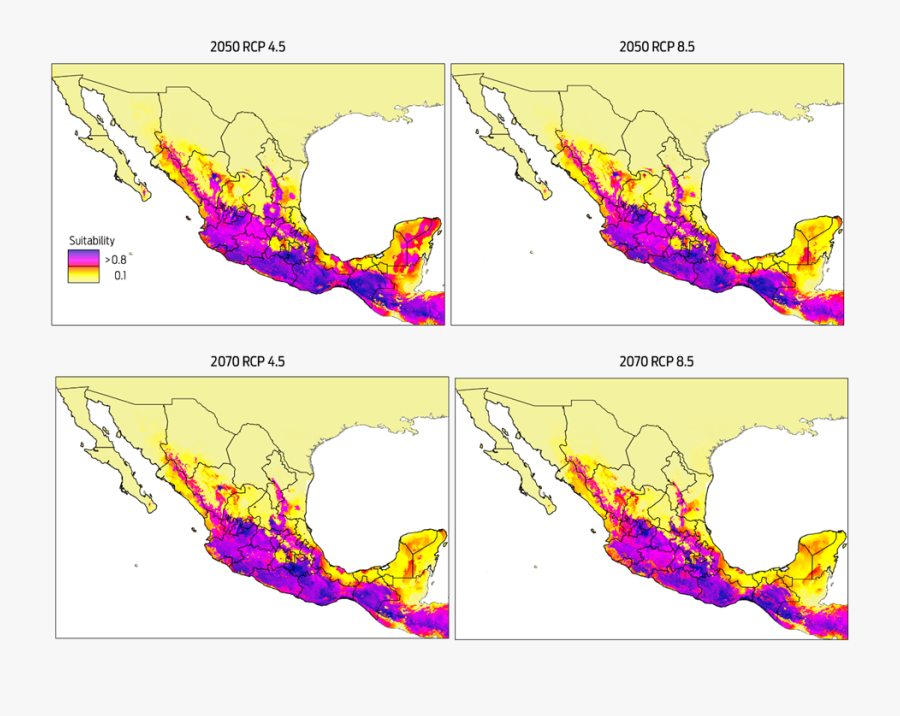 Graphic Design, Transparent Clipart