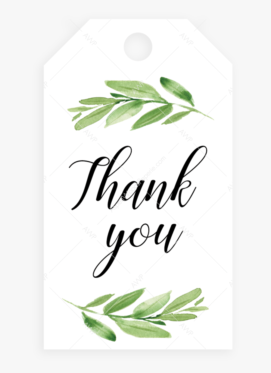 Transparent Bridal Shower Png - Baby Shower, Transparent Clipart