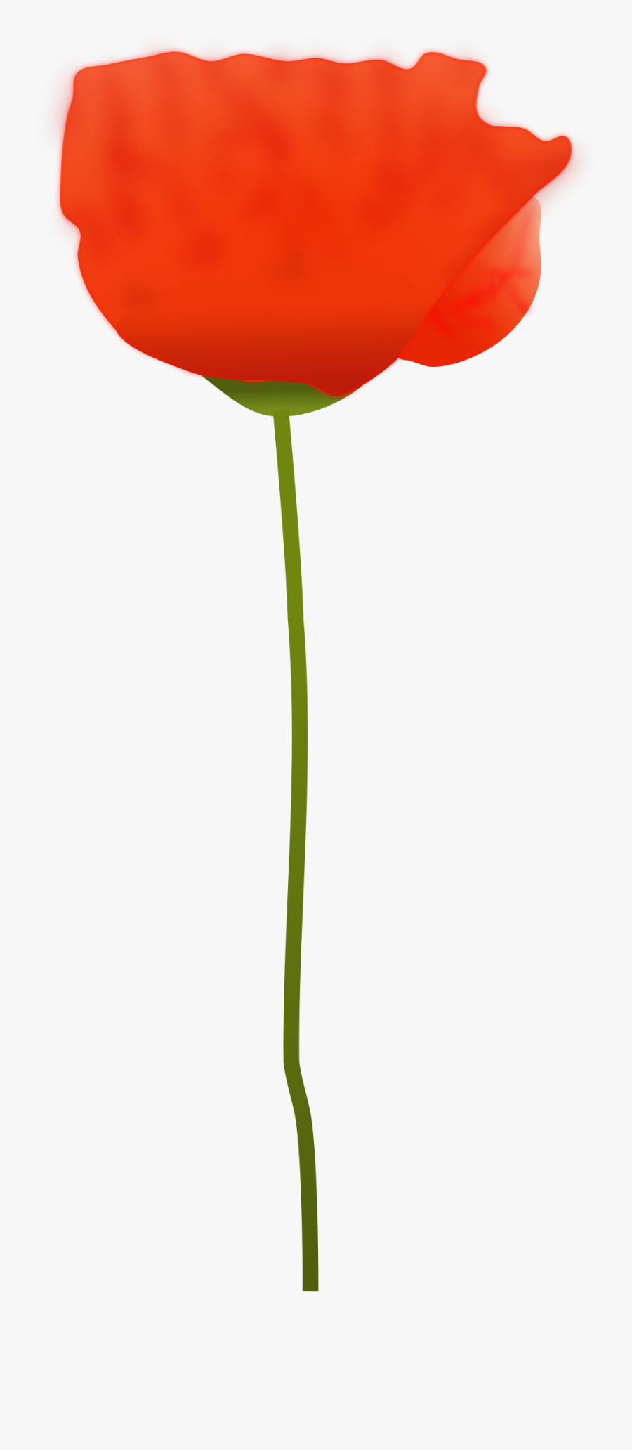 Plant Free On Dumielauxepices - Remembrance Single Clipart Poppy, Transparent Clipart