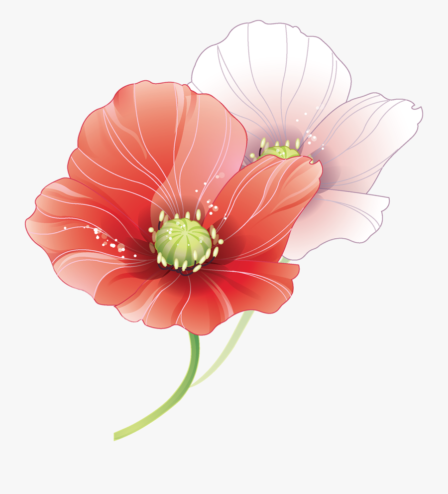 Tubes Fleurs Coquelicots Pinterest - Wedding Vector, Transparent Clipart