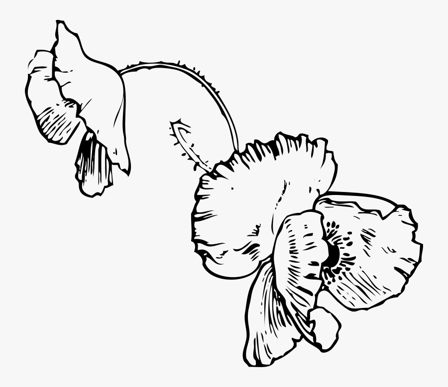 Poppy - Gulliver's Travels Black And White, Transparent Clipart
