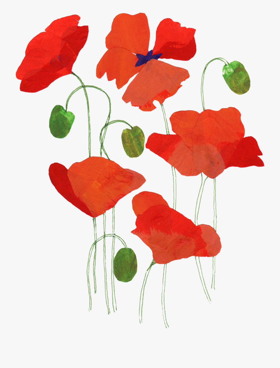 Poppy - Greeting Card, Transparent Clipart