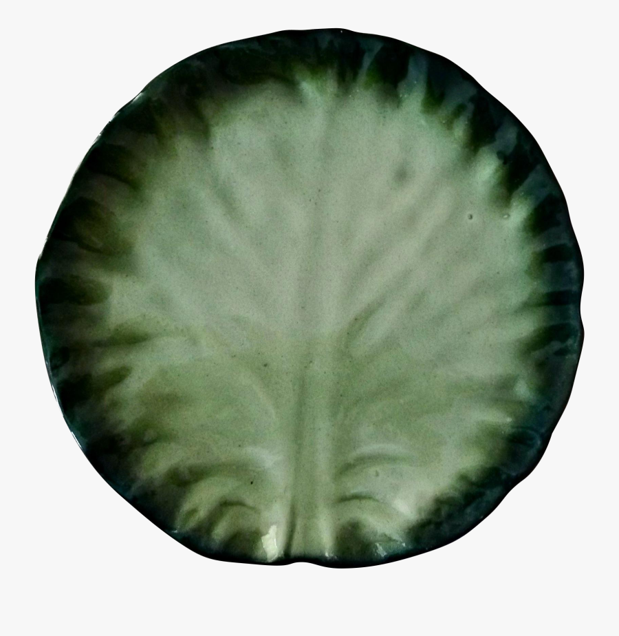 Clip Art Old Italy Or Cabbage - Coral Reef, Transparent Clipart