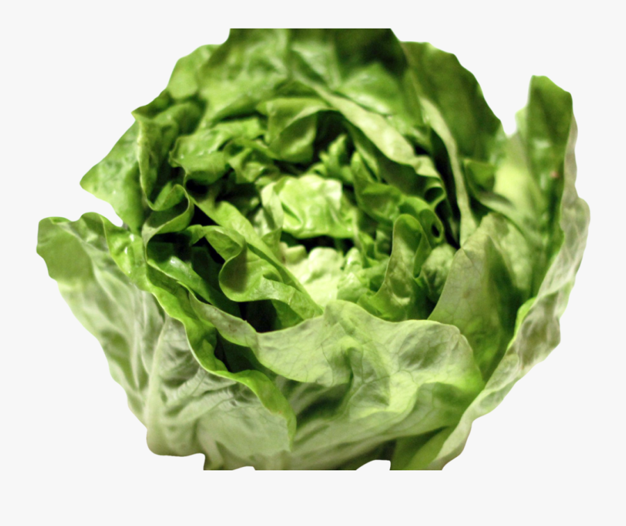 Lettuce Png Image Lettuce Png- - Transparent Background Lettuce Png, Transparent Clipart
