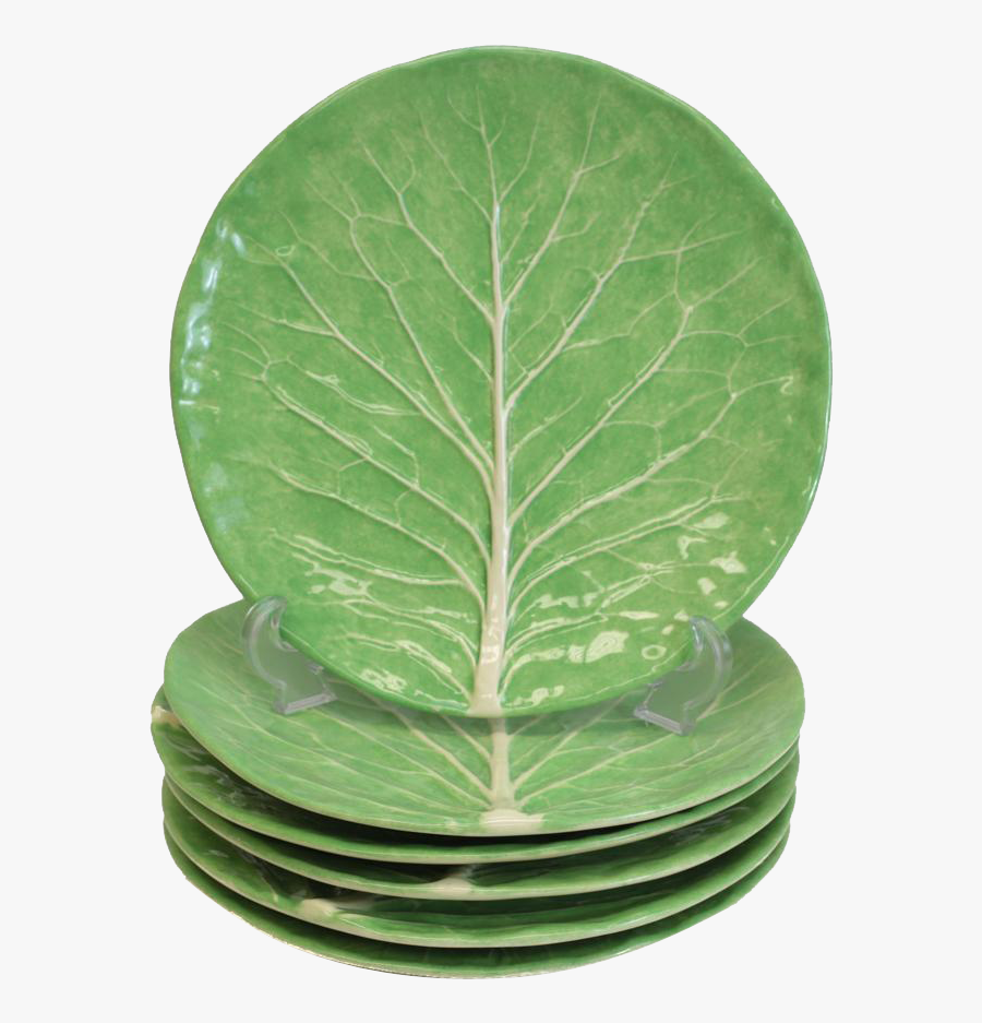 Clip Art Dodie Thayer Ware - Houseplant, Transparent Clipart