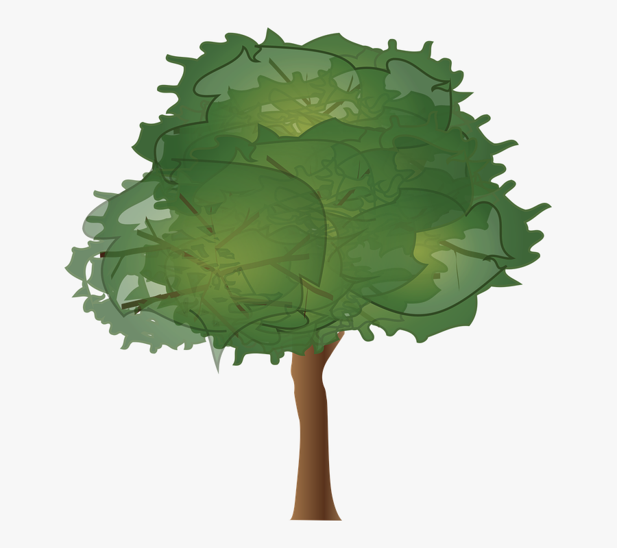Tree, Wood, Paper, Leaves, Plant, Bush, Foliage - Wood, Transparent Clipart