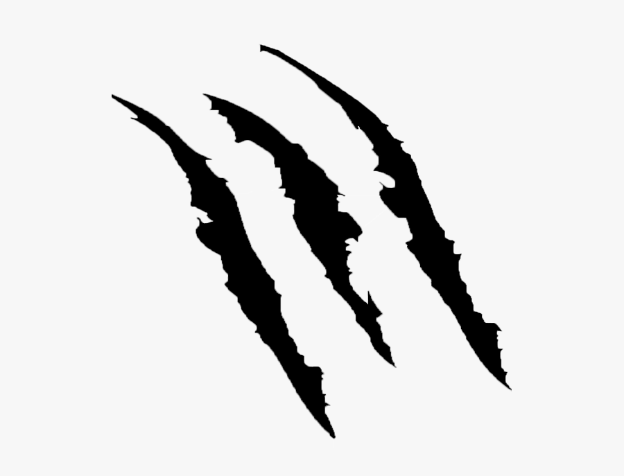 Collection Of Raptor - Thick Claw Marks, Transparent Clipart