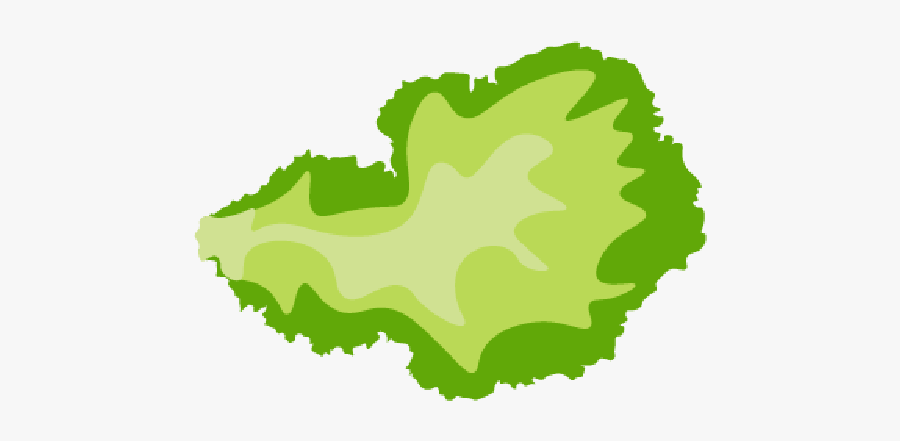 A Picture Of Lettuce - Lettuce Slice Clipart Png, Transparent Clipart