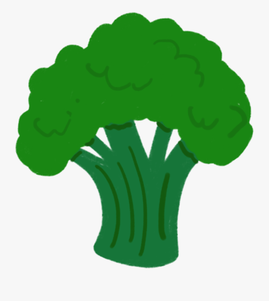 Broccoli, Transparent Clipart