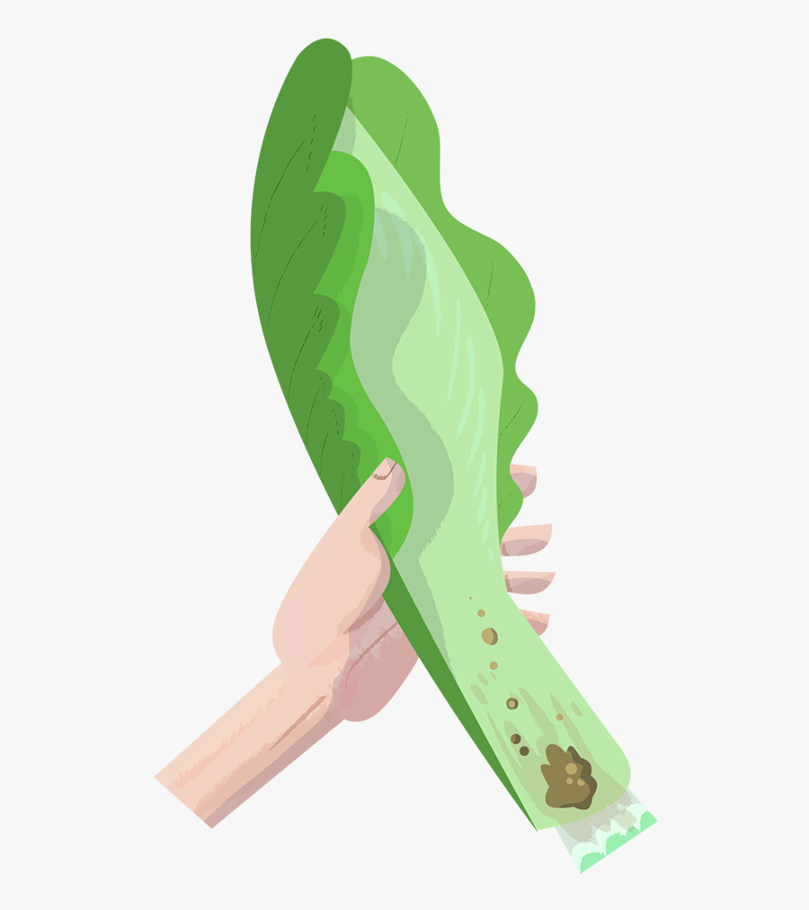 Handled Produce Sm - Illustration, Transparent Clipart