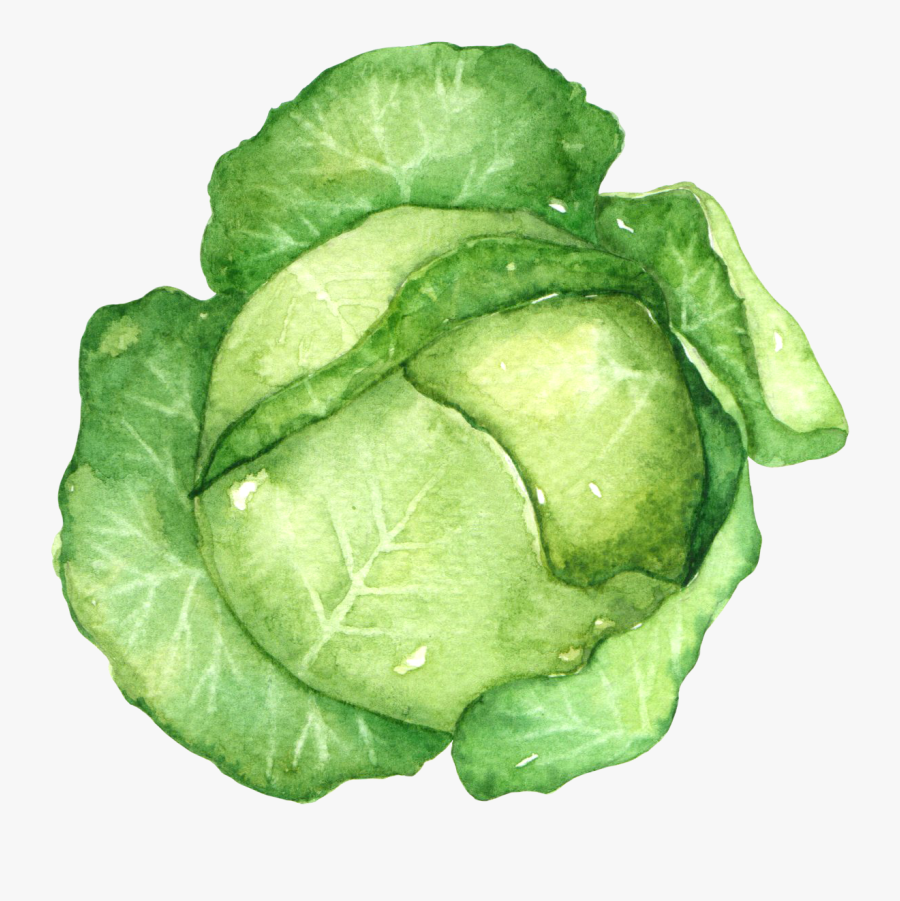 Spinach, Transparent Clipart