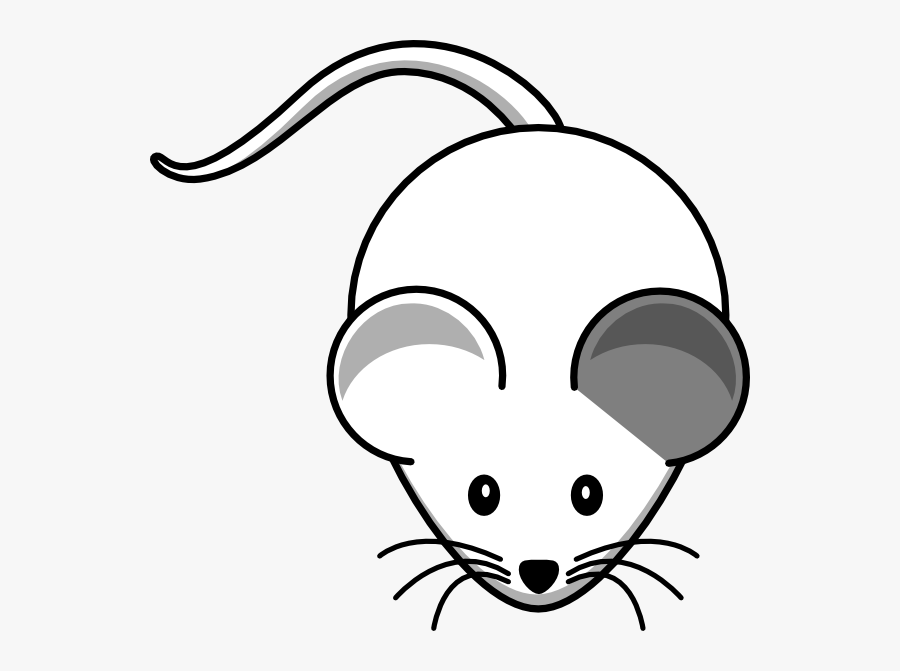 White Mouse Left Grey Ear Svg Clip Arts - Cute Rat Drawing, Transparent Clipart