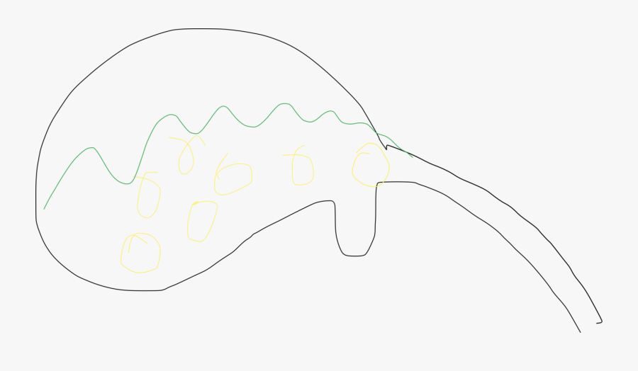 Finger Clipart In Ear - Drawing, Transparent Clipart