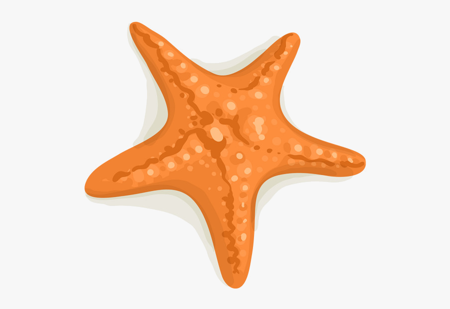 Starfish Clipart Transparent Png - Clipart Transparent Background Starfish, Transparent Clipart