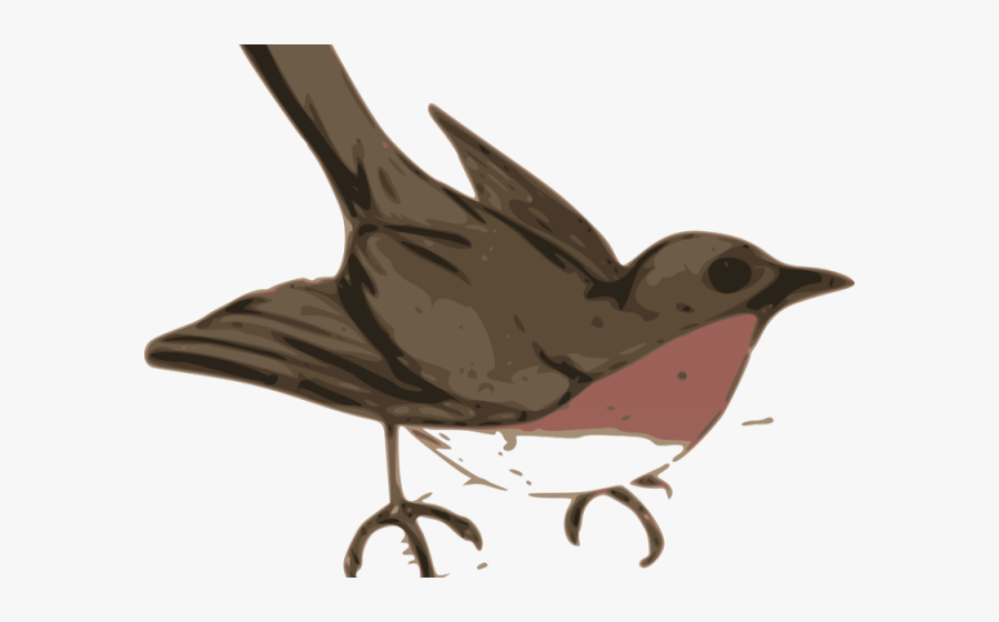 Bird Clip Art, Transparent Clipart