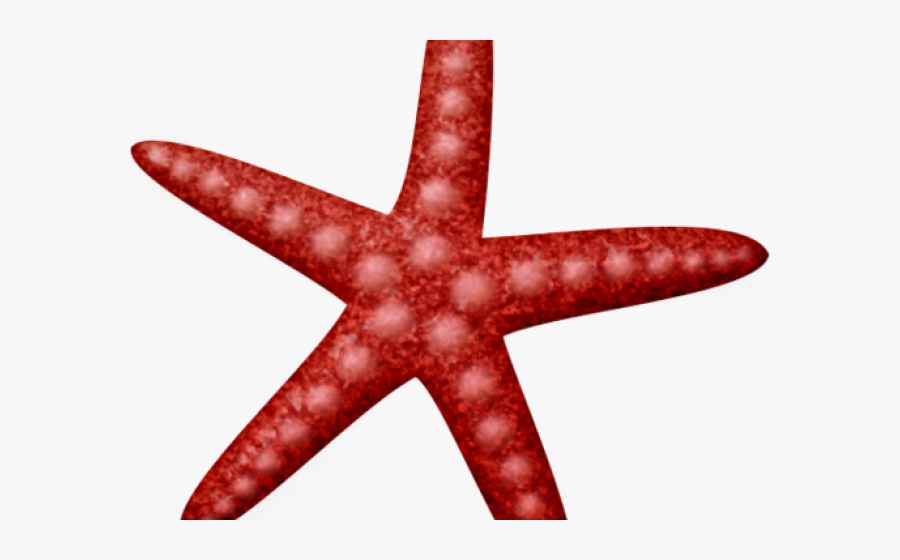Starfish Clipart , Png Download - Starfish, Transparent Clipart