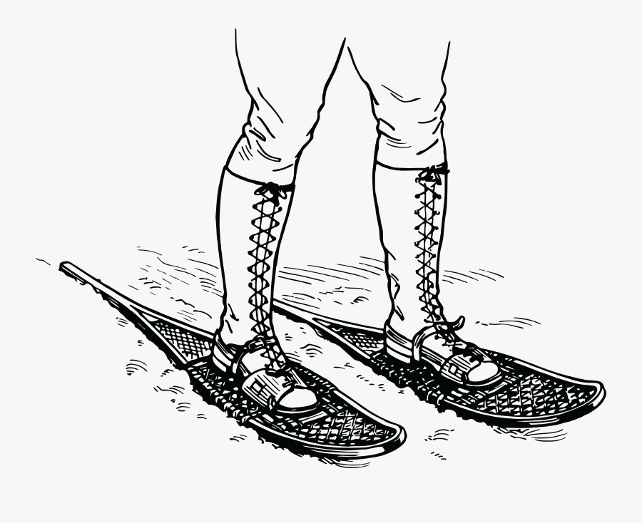 Wear Boots - Snowshoe Drawing, Transparent Clipart