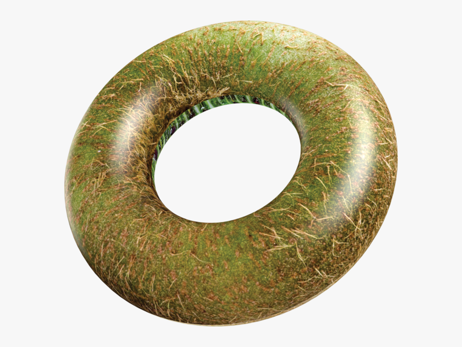 Kiwi Beach & Pool Tube - Inflatable, Transparent Clipart