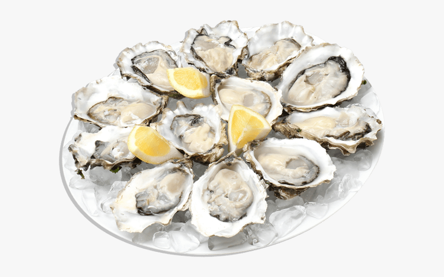 Oysters - Oysters Meaning In Punjabi, Transparent Clipart