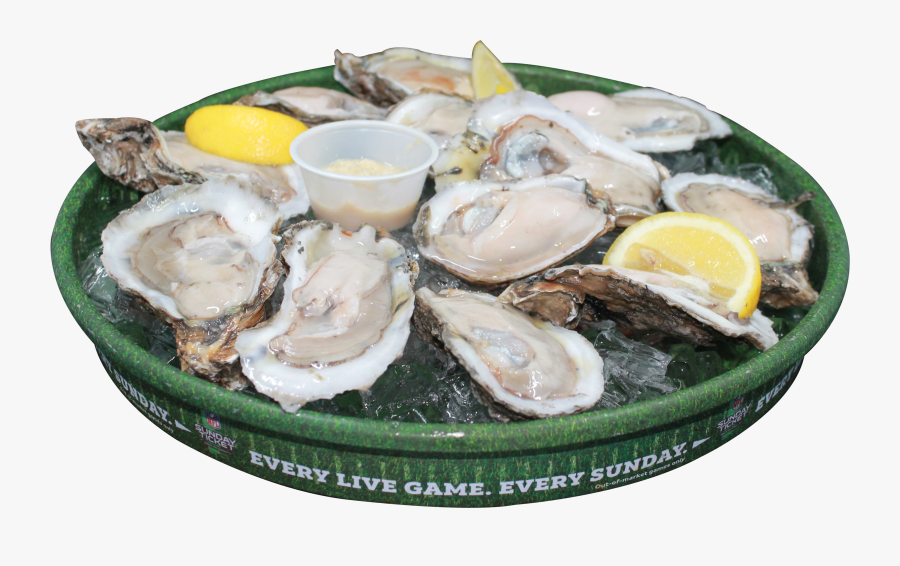 Fried Dozen Oysters - Tiostrea Chilensis, Transparent Clipart