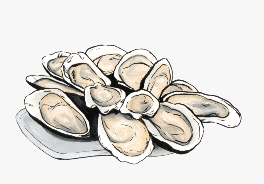 Oyster Png, Transparent Clipart