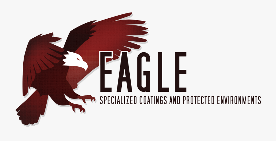 Transparent Bald Eagle Png - Red-tailed Hawk, Transparent Clipart