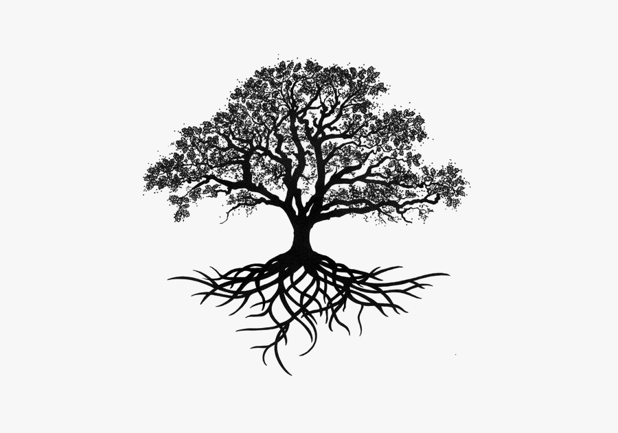 Oak Silhouette Tree Drawing Trees Free Download Png - Tree With Roots Silhouette Png, Transparent Clipart