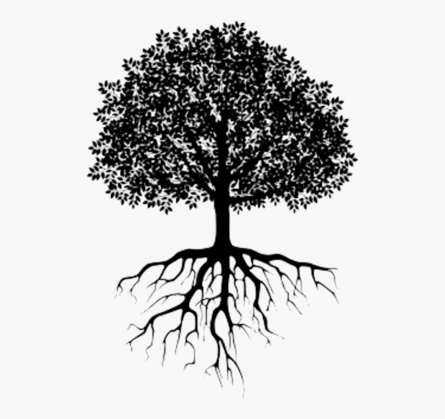 #tree #root - Tree With Roots Vector, Transparent Clipart