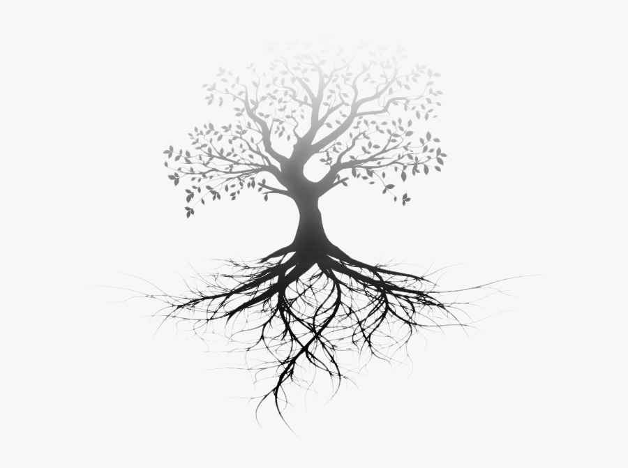 Transparent Tree With Roots, Transparent Clipart