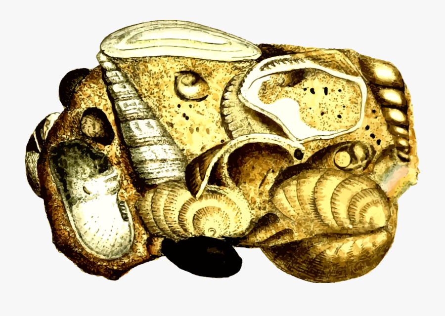 Transparent Maya Icon Png - Maya Civilization, Transparent Clipart