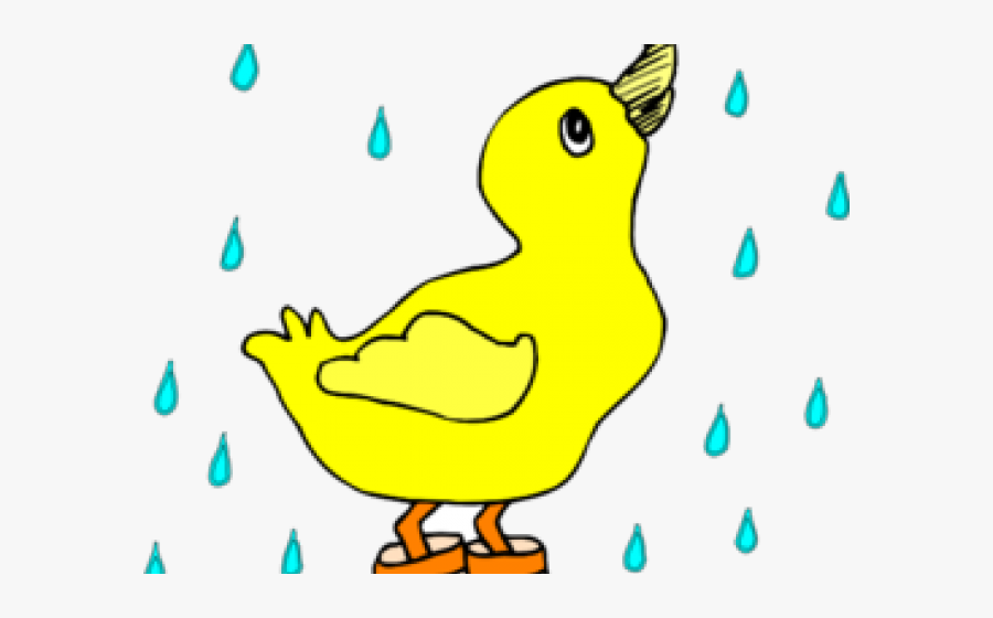 Duck In A Puddle, Transparent Clipart