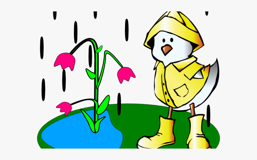 Mandarin Duck Clipart Bunny - Wet Clipart, Transparent Clipart