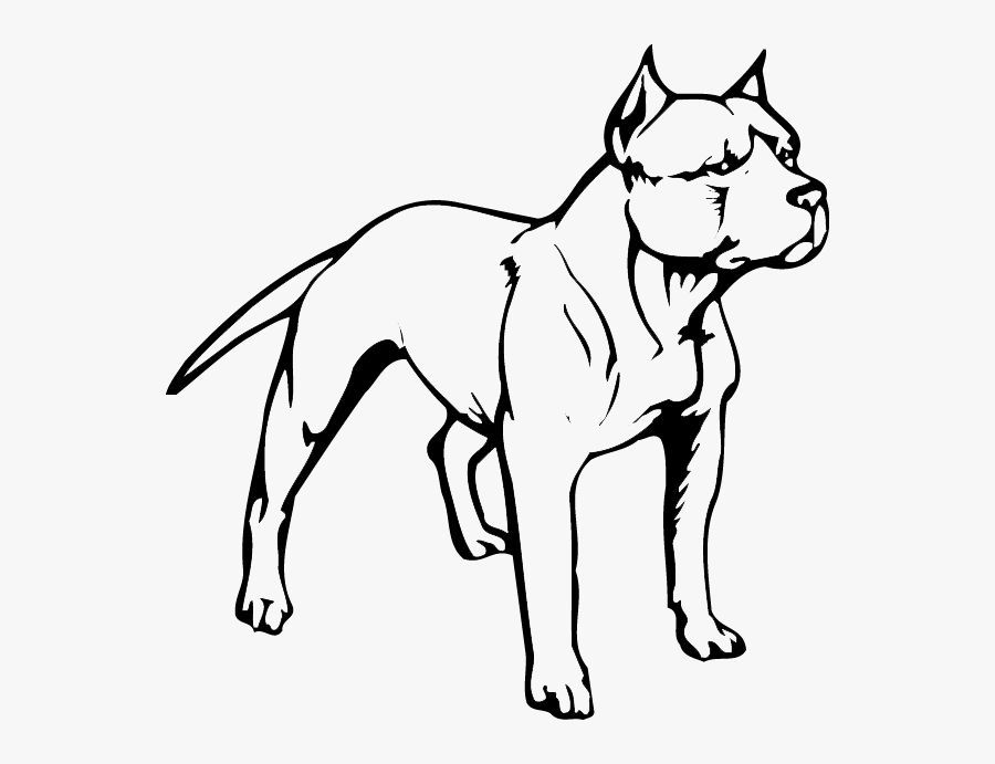 American Pit Bull Terrier Puppy American Bully - Full Body Pitbull Drawing, Transparent Clipart