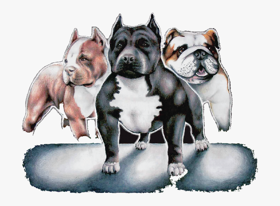 Transparent Bull Dog Png - Maximum Bully Pet Logo, Transparent Clipart