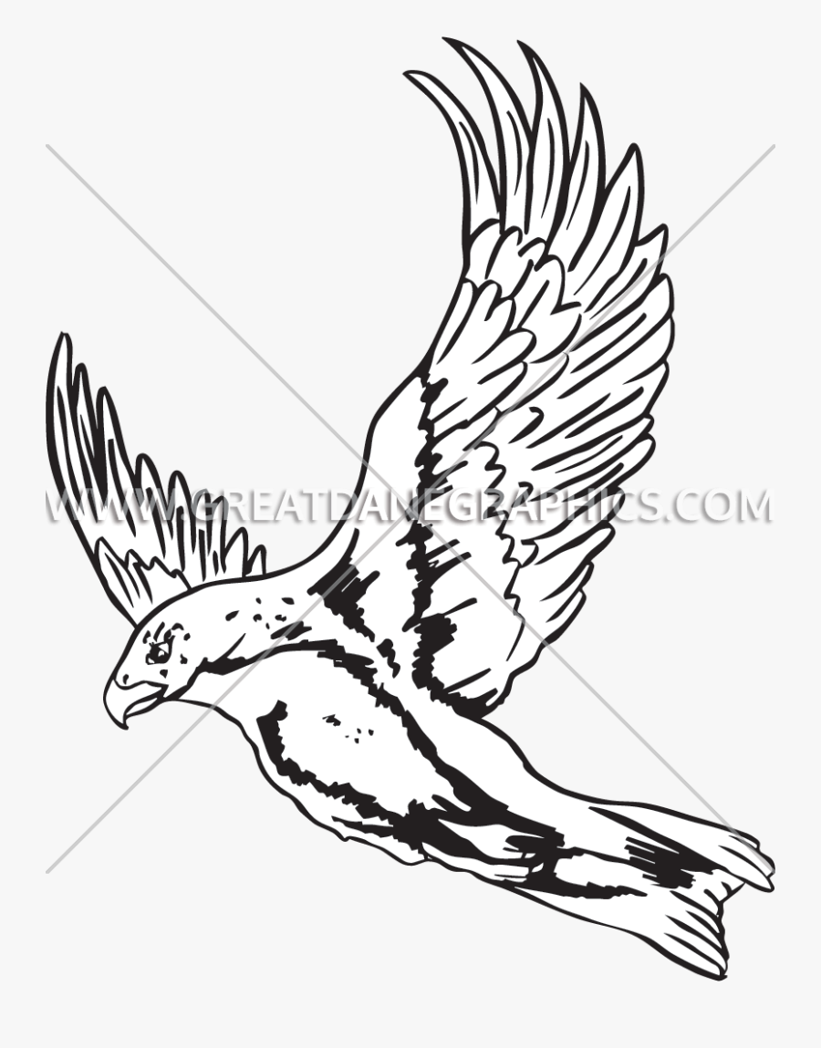 Falcon Drawing Easy - Sketch, Transparent Clipart