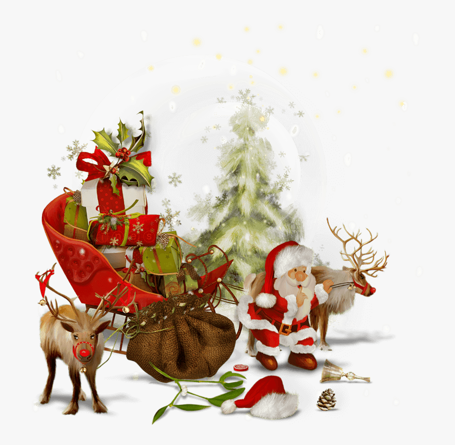 Latest Christmas Day Profile Pic, Transparent Clipart