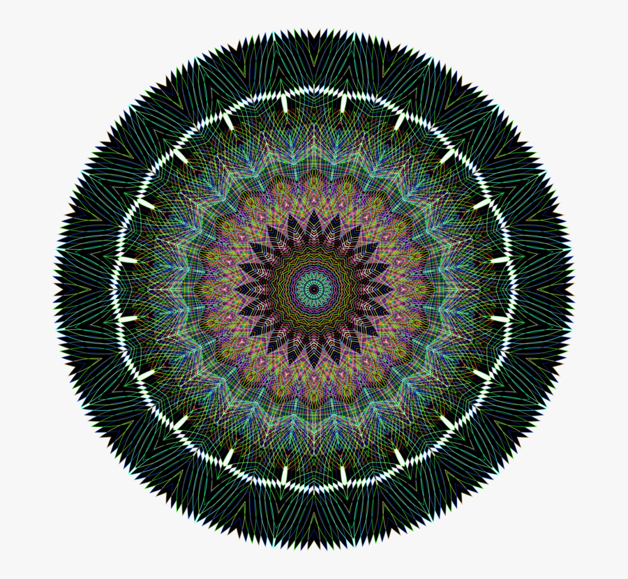 Circle,organism,symmetry - Vector, Transparent Clipart