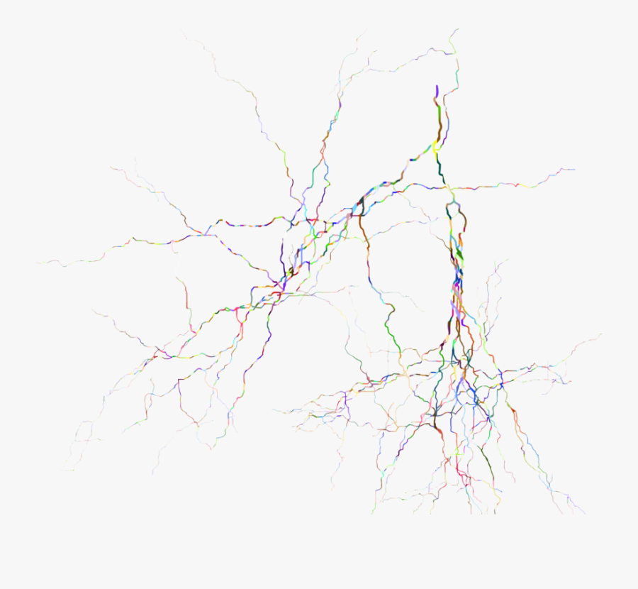 Tree,sky,branch - Map, Transparent Clipart