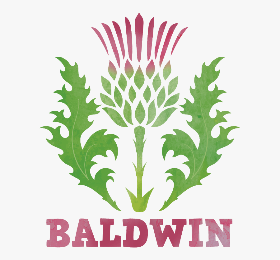 Scottish Thistle Stock, Transparent Clipart