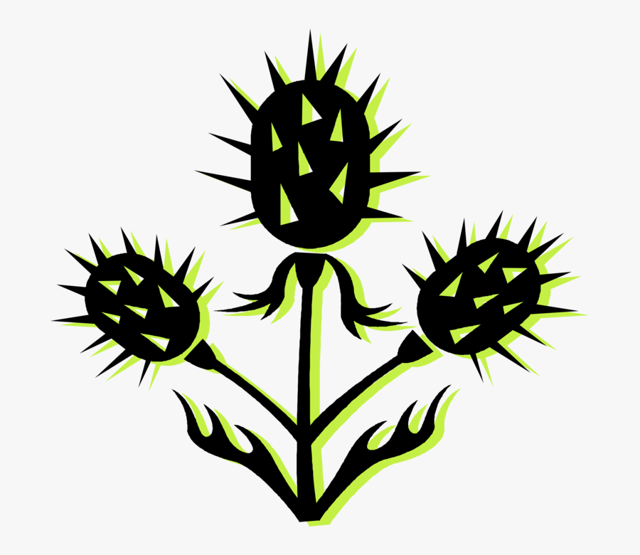 Vector Illustration Of Scottish Thistle Flowering Botanical - Emblem, Transparent Clipart