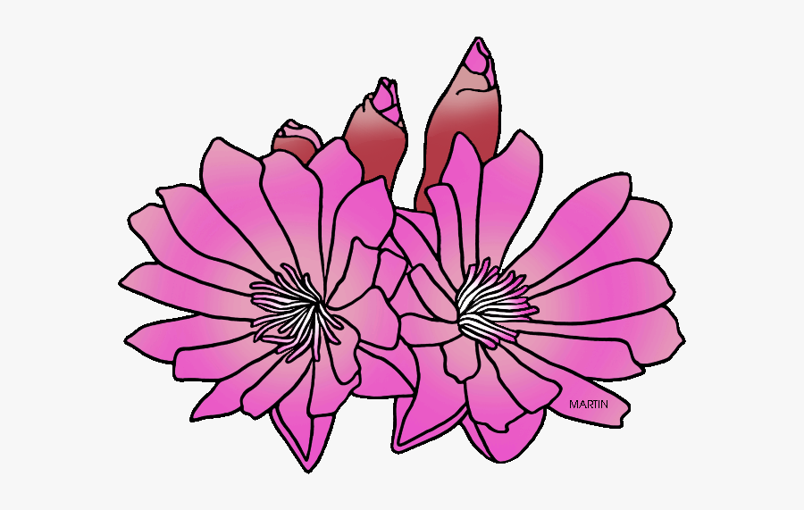 Flower Clipart Root - Montana State Flower Clipart, Transparent Clipart