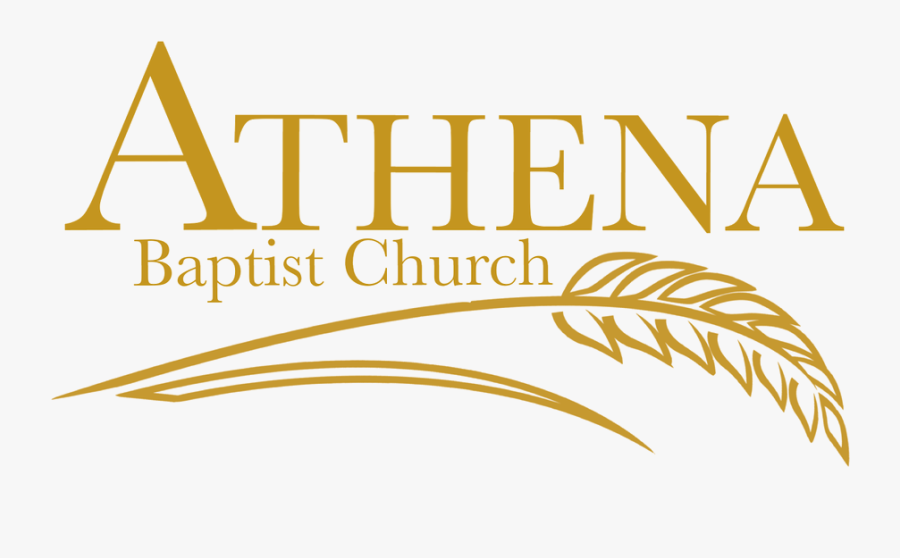 Regent"s University London , Transparent Cartoons - Calligraphy, Transparent Clipart