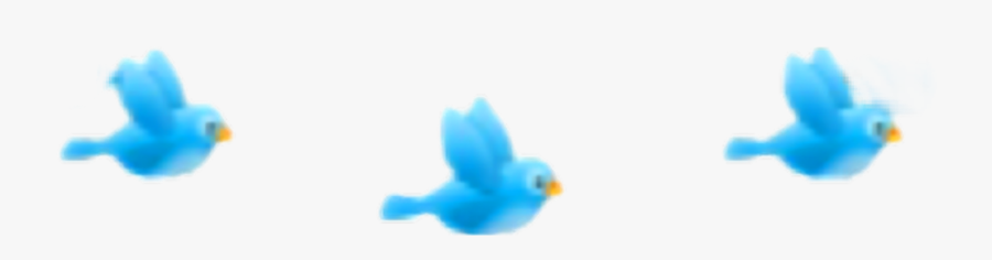 #ftestickers #clipart #birds #blue #cute - Duck, Transparent Clipart