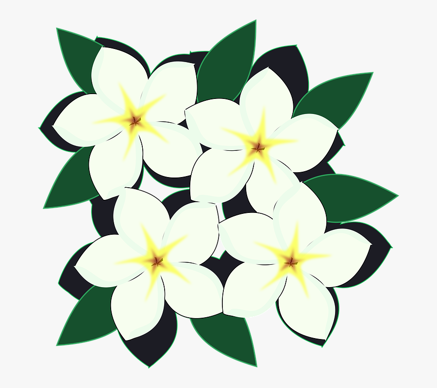 Thumb Image - Flor Art, Transparent Clipart